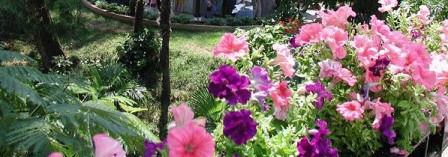 Yalova Termal Kaplıcaları